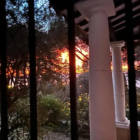 La Renarde *